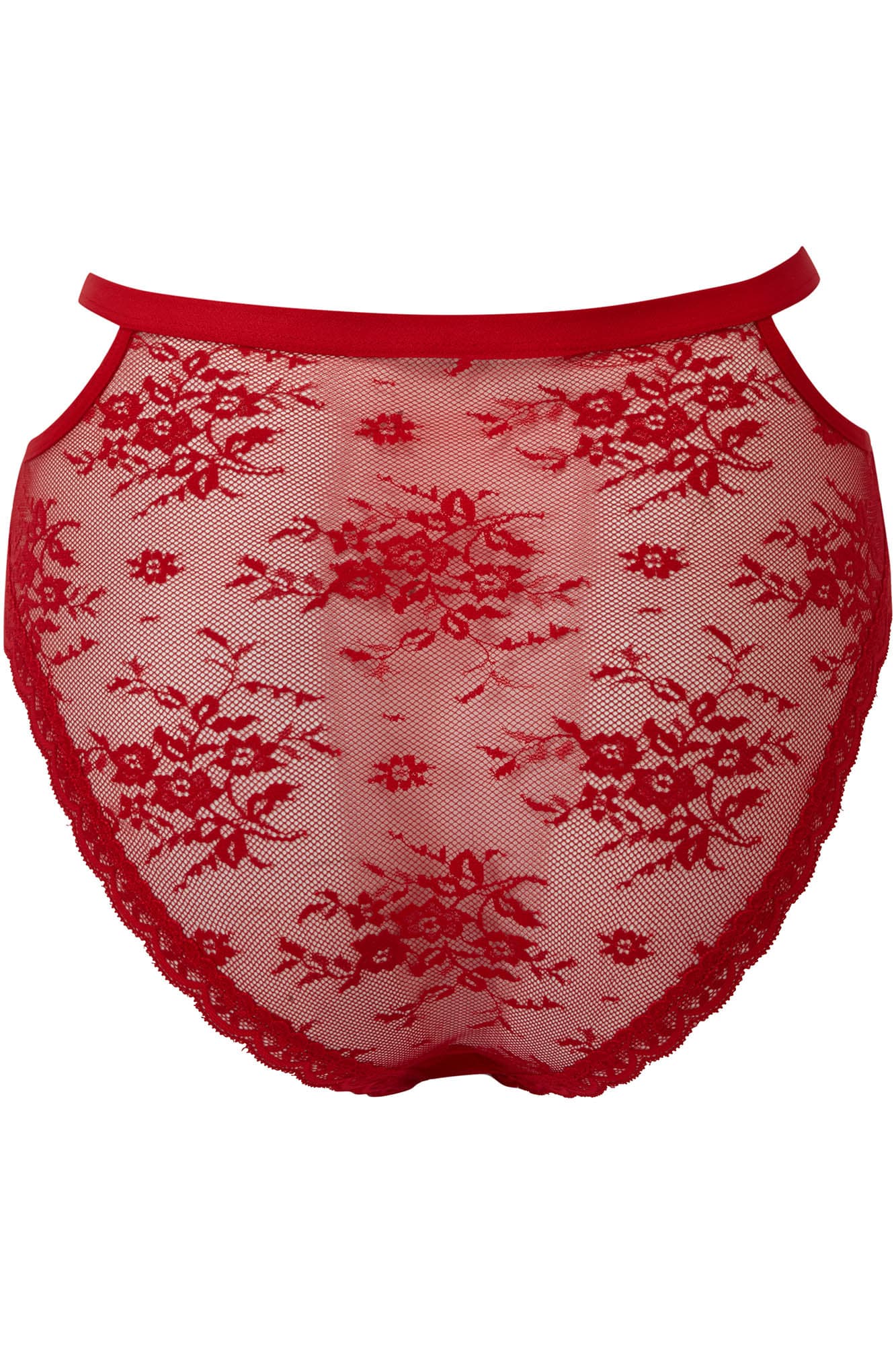 Killstar Sheer Evil Gothic Lace Panty - High Waisted Floral Cut-Out