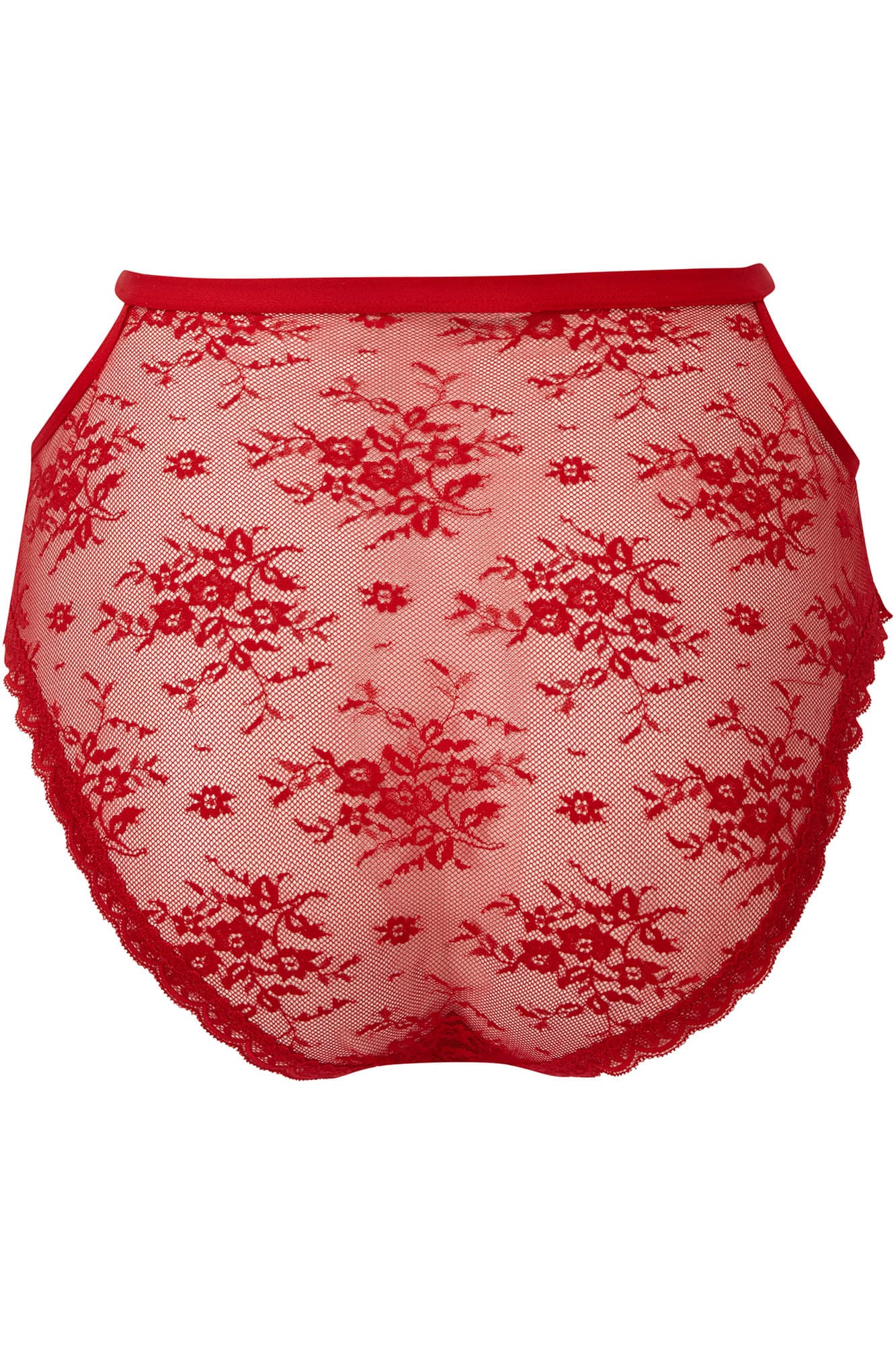 Killstar Sheer Evil Gothic Lace Panty - High Waisted Floral Cut-Out