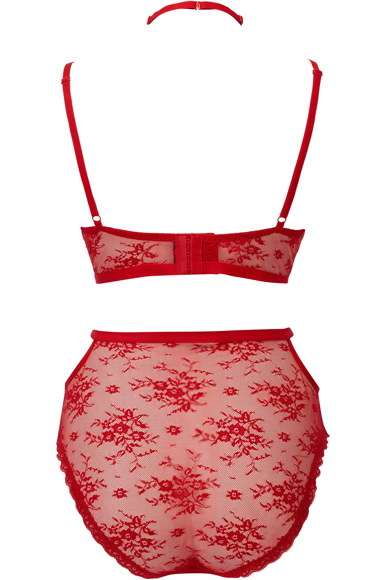 Killstar Sheer Evil Gothic Lace Panty - High Waisted Floral Cut-Out