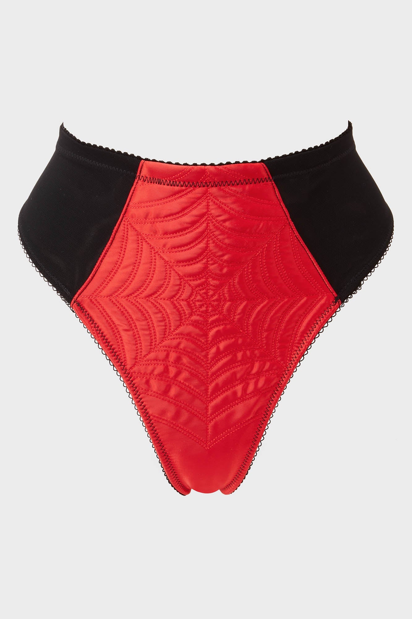 Killstar Scarlet Webutant High Waisted Spiderweb Panty