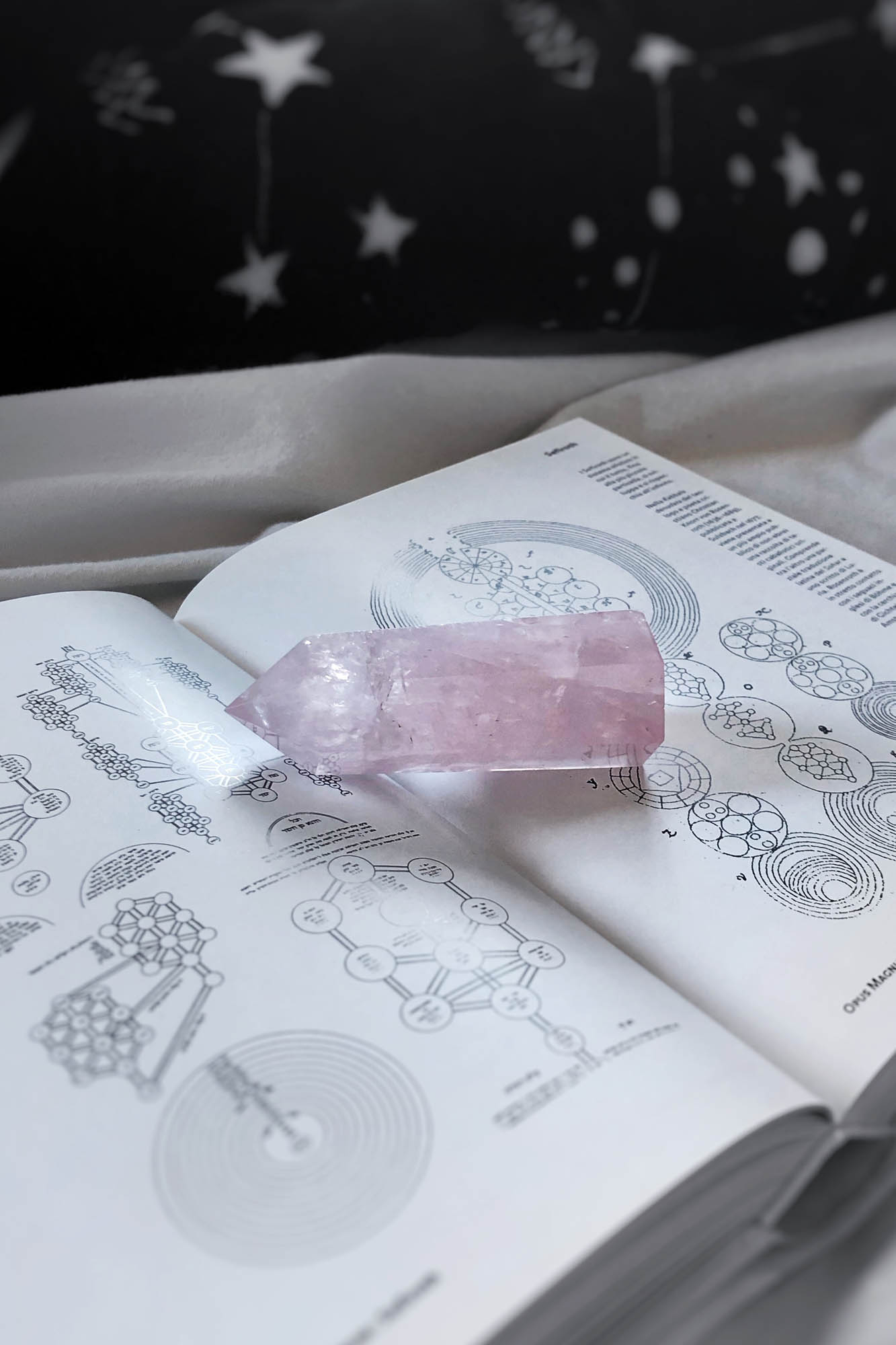 Rose Quartz Crystal Point - Natural Healing Stone for Love & Relationships
